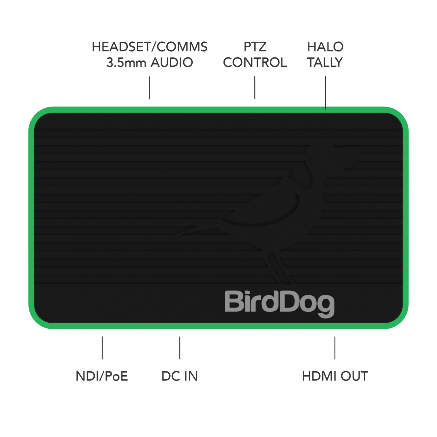 BIRDDOG FLEX 4K OUT