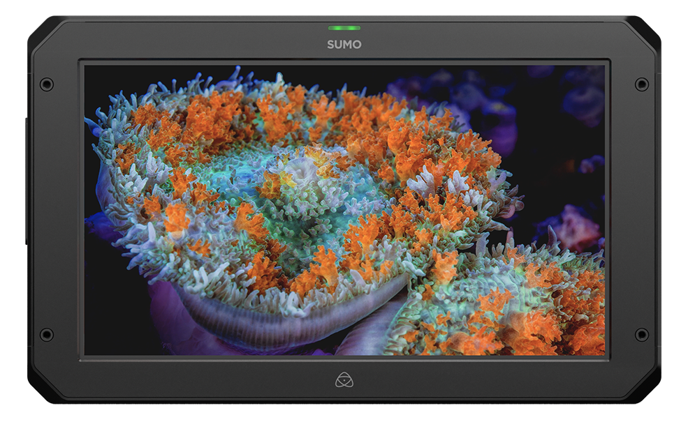 ATOMOS SUMO 19 SE MONITOR RECORDER AND SWITCHER