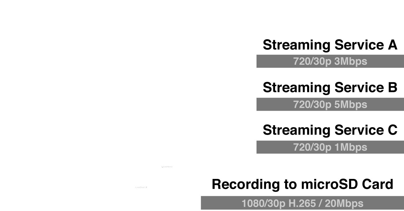 Cerevo LiveShell X PC- Less Video Encoder with Recorder