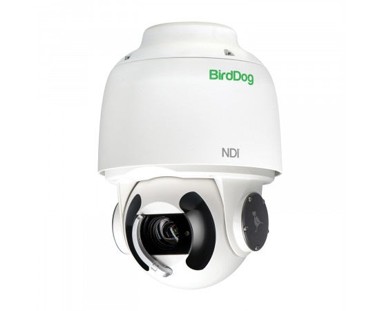 BIRDDOG EYES A200 IP67 White