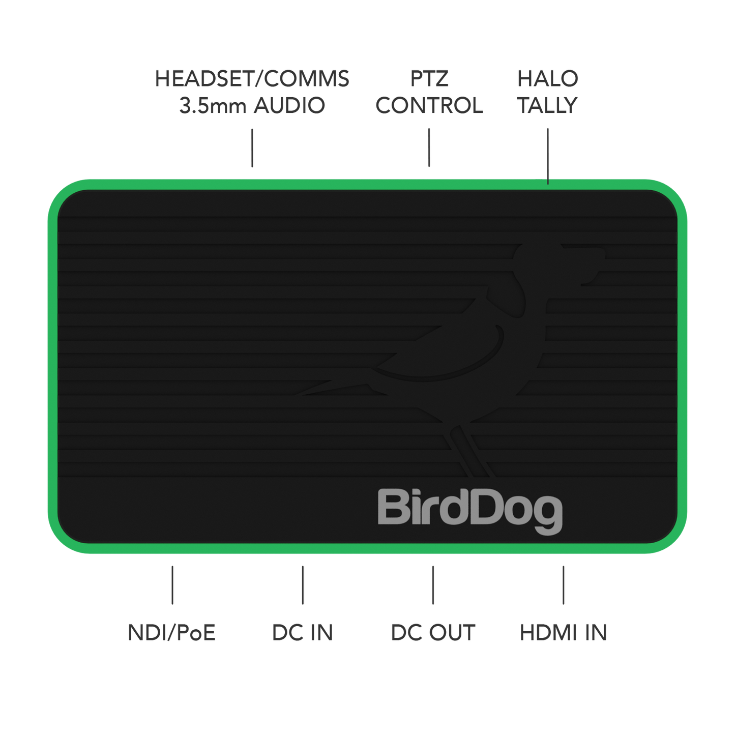 BIRDDOG FLEX 4K IN