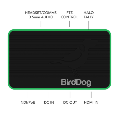 BIRDDOG FLEX 4K IN