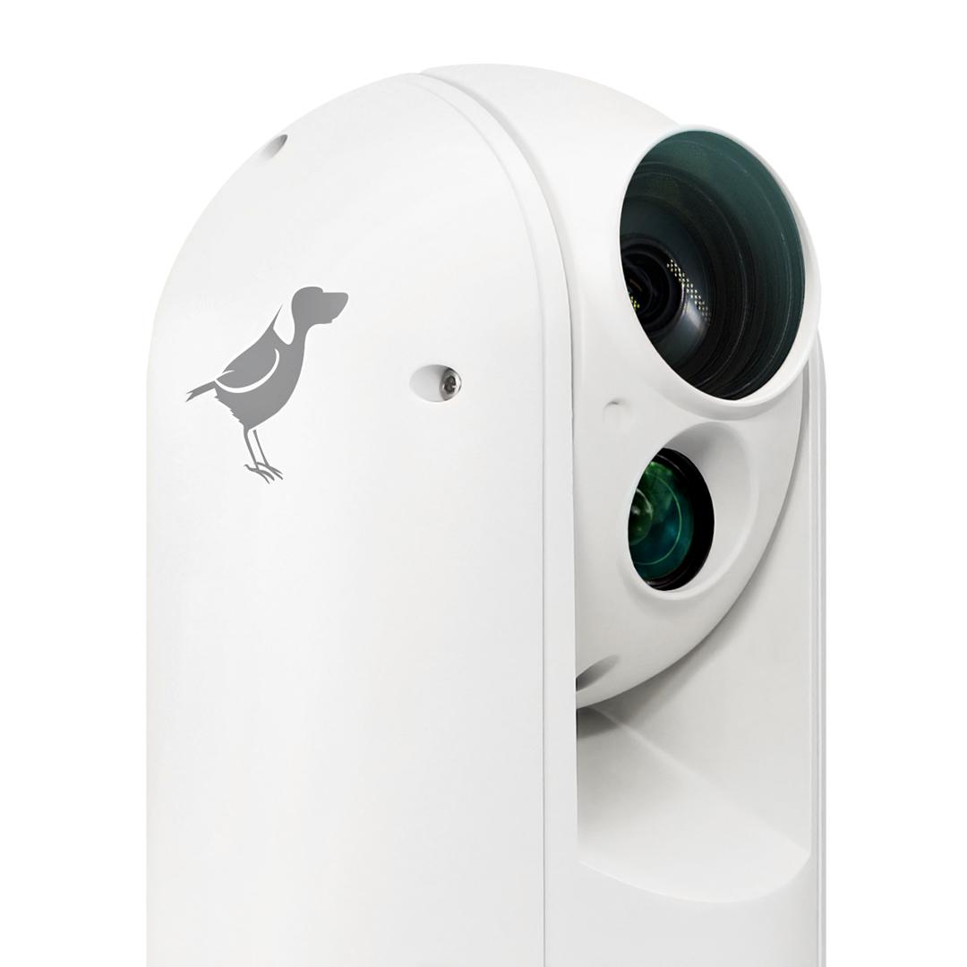 BirdDog Eyes BDA300 IP67 Extreme Weatherproof 30X FULL NDI PTZ cameraW/SONY Sensor & SDI (WHITE)
