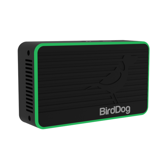 BIRDDOG FLEX 4K IN