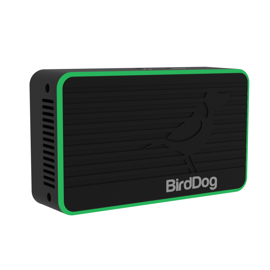 BIRDDOG FLEX 4K IN