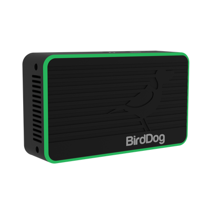 BIRDDOG FLEX 4K IN