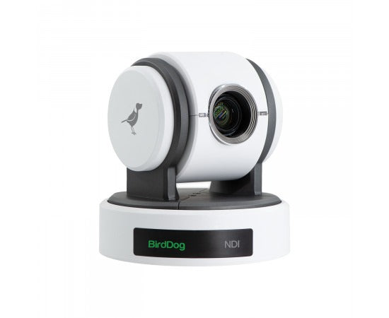 BIRDDOG EYES P100W 1080P 10X (White)